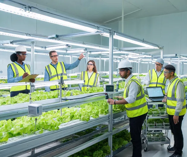 Fluence lighting engineering team in a horticultural test facility